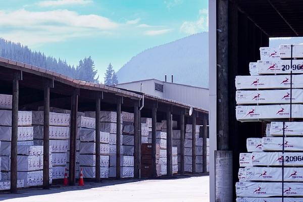 Douglas-fir Framing Timber